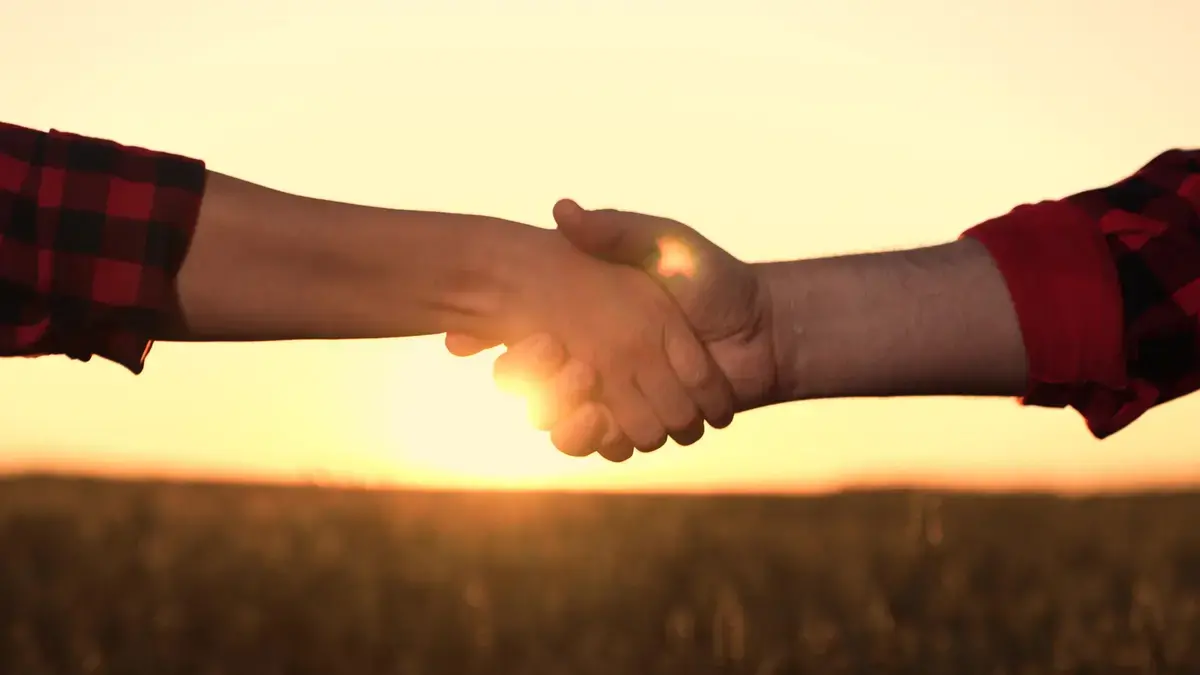 Shutterstock 2340657263 778942334f